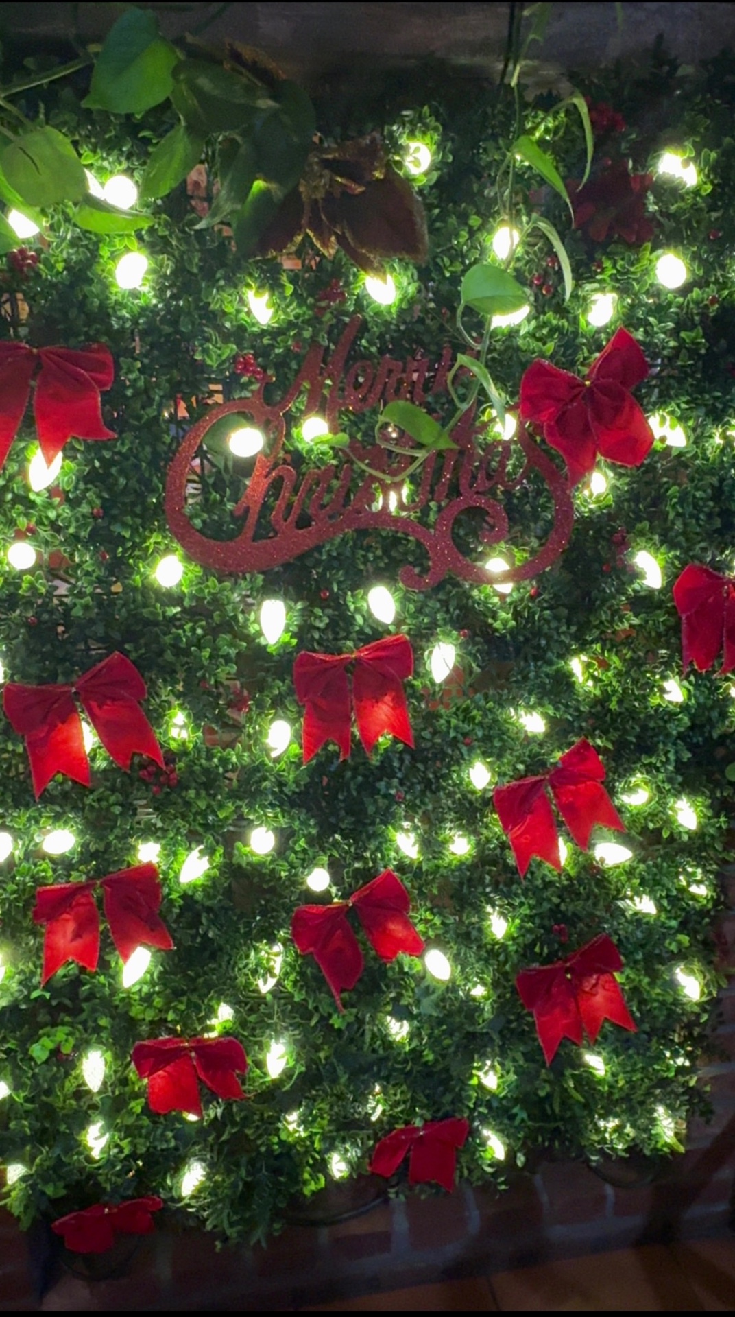 Festive holiday decorations inside Don Jose East Hanover 3